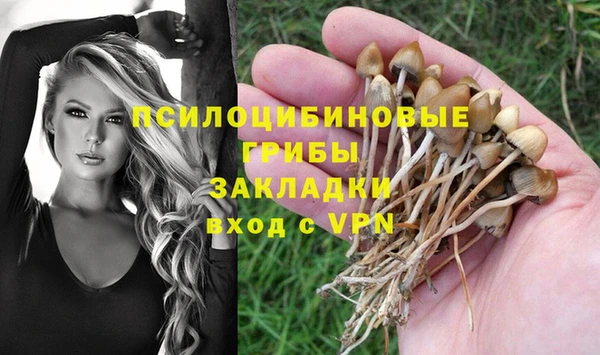 МДМА Няндома