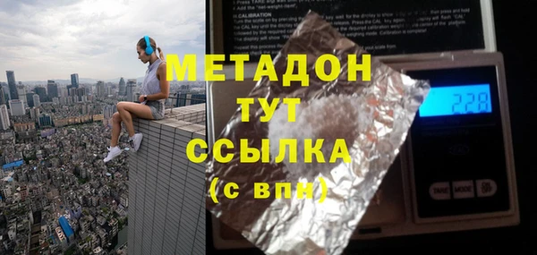 прущие грибы Алексеевка