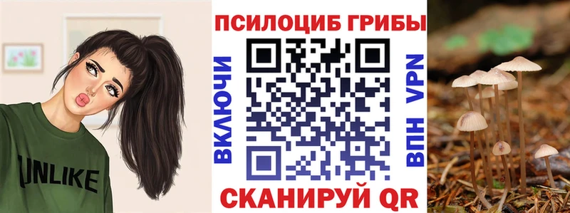 ссылка на мегу   наркотики  Орск  Псилоцибиновые грибы мухоморы 