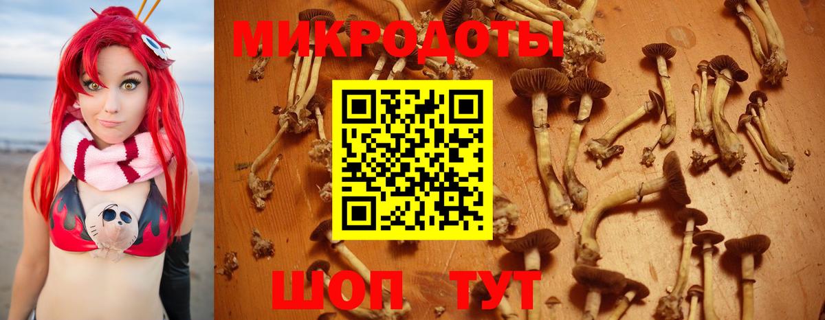 Псилоцибиновые грибы Cubensis  Галлюциногенные грибы ЛСД  Вход с VPN  Орск 